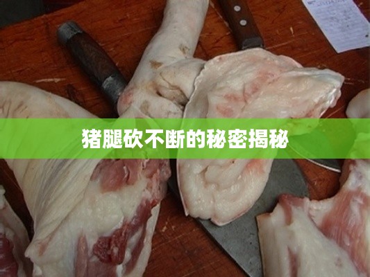 博古通今 第8页