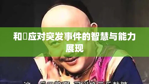 和珅应对突发事件的智慧与能力展现