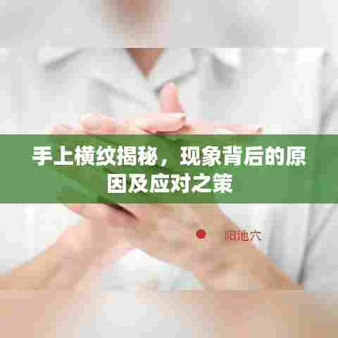 手上横纹揭秘,现象背后的原因及应对之策