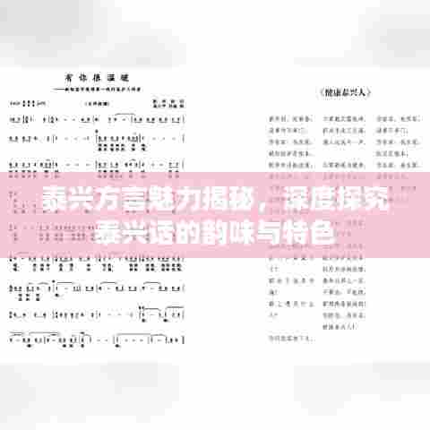 泰兴方言魅力揭秘,深度探究泰兴话的韵味与特色