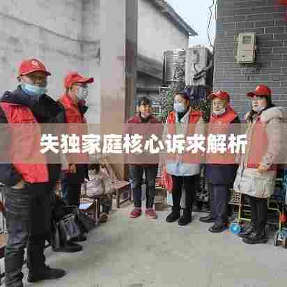 失独家庭核心诉求解析