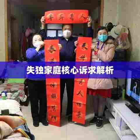 失独家庭核心诉求解析