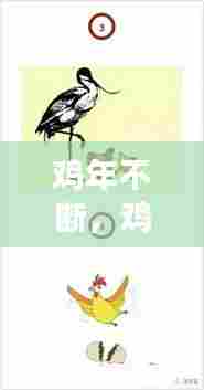 鸡年不断,鸡年之后的鸡年是什么意思