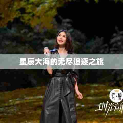 星辰大海的无尽追逐之旅