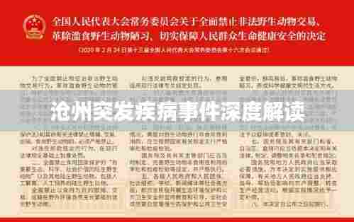 沧州突发疾病事件深度解读