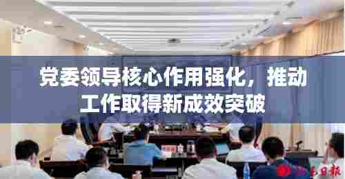 党委领导核心作用强化,推动工作取得新成效突破
