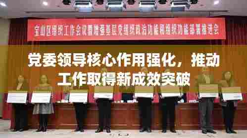党委领导核心作用强化,推动工作取得新成效突破