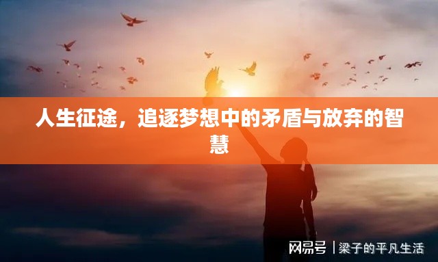 人生征途,追逐梦想中的矛盾与放弃的智慧