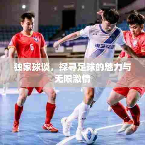 独家球谈，探寻足球的魅力与无限激情