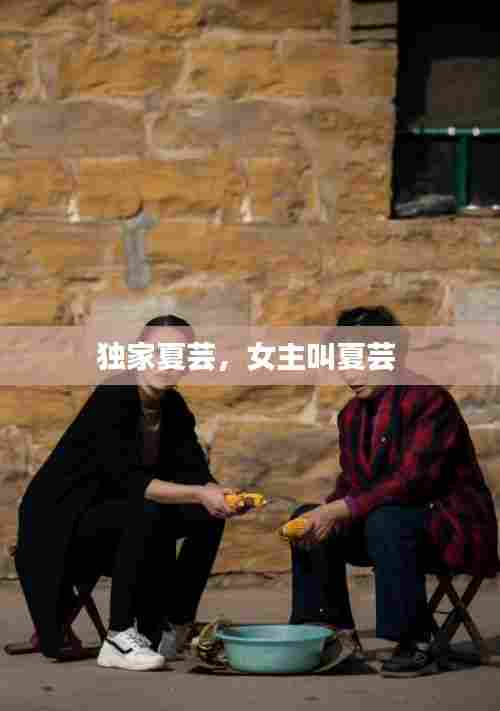 独家夏芸,女主叫夏芸