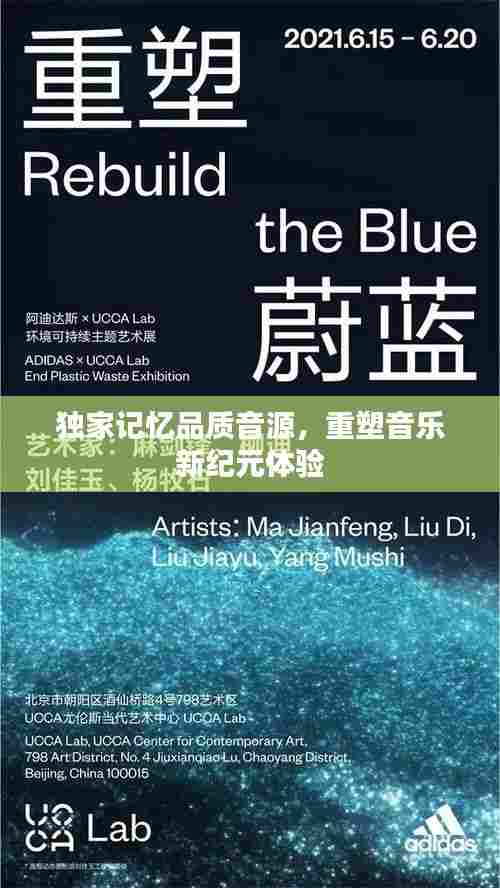 独家记忆品质音源,重塑音乐新纪元体验