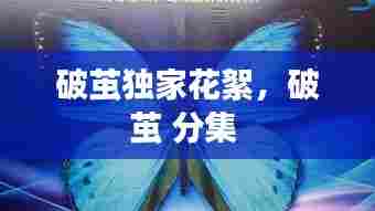破茧独家花絮,破茧 分集