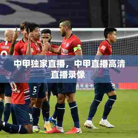 中甲独家直播,中甲直播高清直播录像