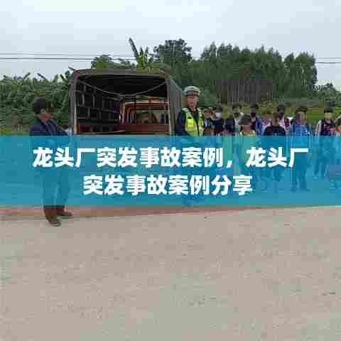 龙头厂突发事故案例，龙头厂突发事故案例分享 