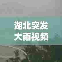 湖北突发大雨视频播放，武汉天猫小店加盟 