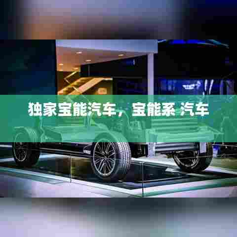 独家宝能汽车,宝能系 汽车