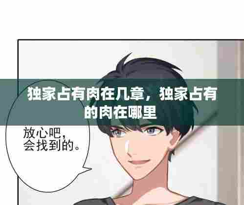 独家占有肉在几章,独家占有的肉在哪里