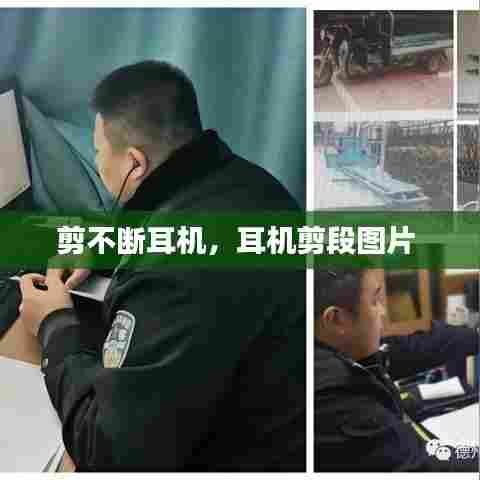 人前显贵 第7页