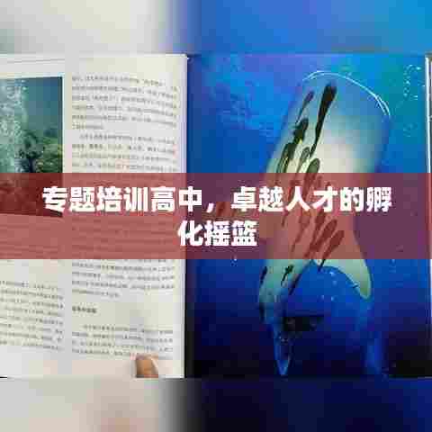 专题培训高中,卓越人才的孵化摇篮