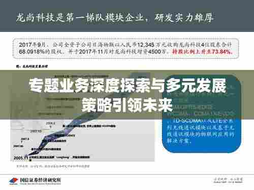 专题业务深度探索与多元发展策略引领未来