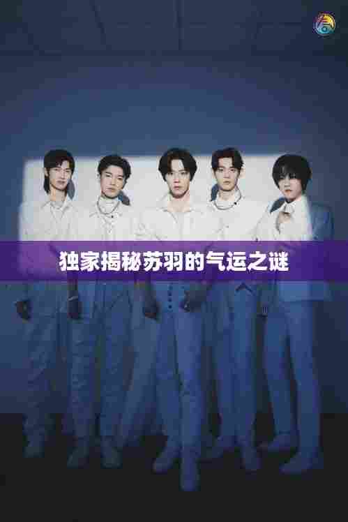 独家揭秘苏羽的气运之谜