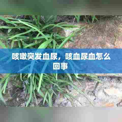 咳嗽突发血尿,咳血尿血怎么回事