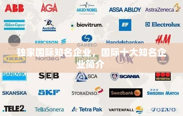 独家国际知名企业,国际十大知名企业简介