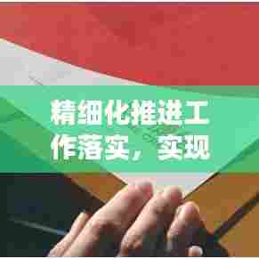 精细化推进工作落实，实现效率与质量的双重提升保障