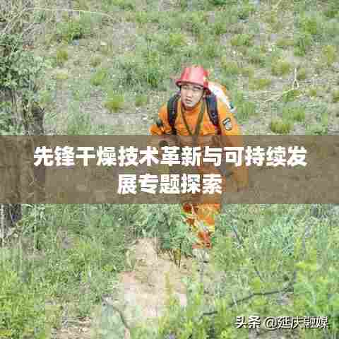 先锋干燥技术革新与可持续发展专题探索