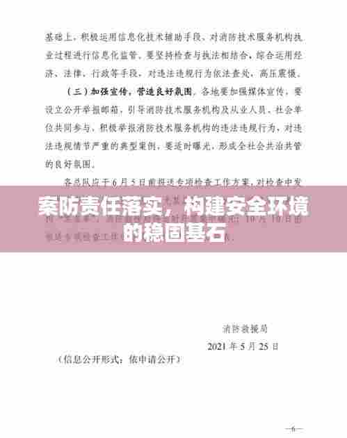 案防责任落实,构建安全环境的稳固基石