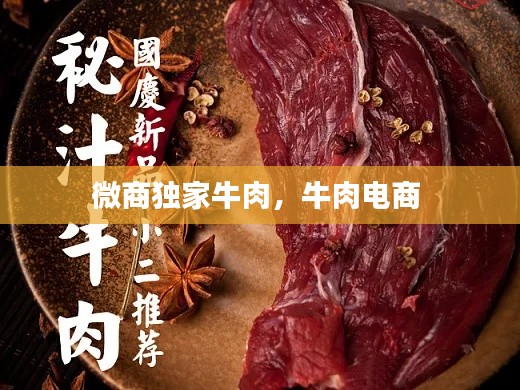 微商独家牛肉,牛肉电商