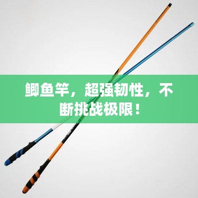 鲫鱼竿，超强韧性，不断挑战极限！