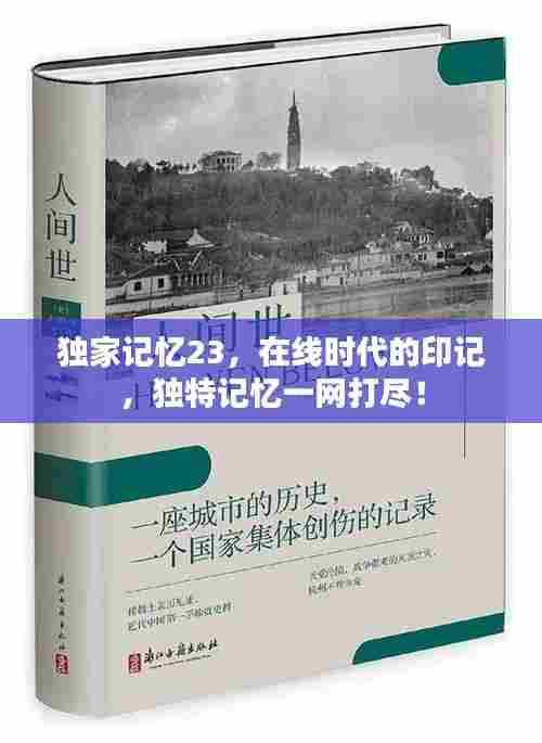 独家记忆23,在线时代的印记,独特记忆一网打尽!