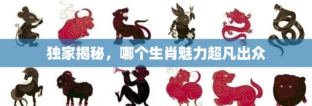 独家揭秘，哪个生肖魅力超凡出众