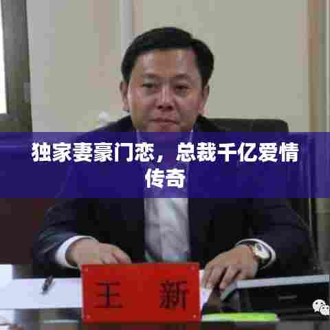 独家妻豪门恋，总裁千亿爱情传奇