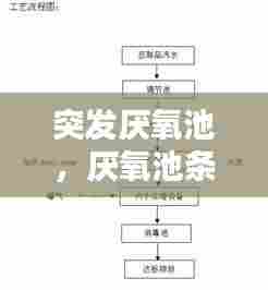 突发厌氧池，厌氧池条件 