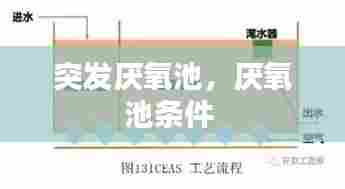 突发厌氧池,厌氧池条件