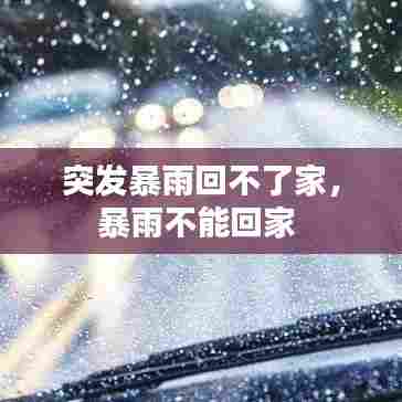 突发暴雨回不了家，暴雨不能回家 