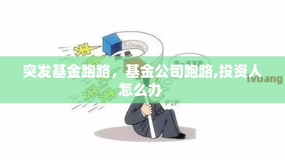 突发基金跑路，基金公司跑路,投资人怎么办 