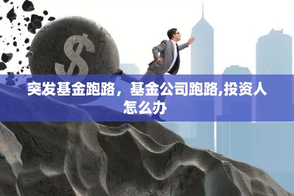 突发基金跑路,基金公司跑路,投资人怎么办