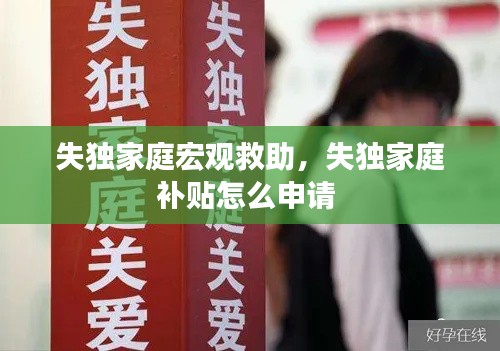 失独家庭宏观救助,失独家庭补贴怎么申请