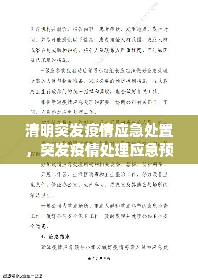 清明突发疫情应急处置，突发疫情处理应急预案 