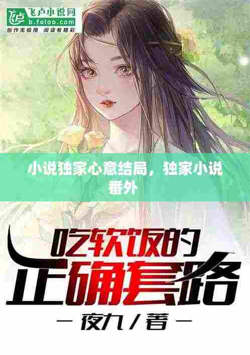 小说独家心意结局,独家小说番外