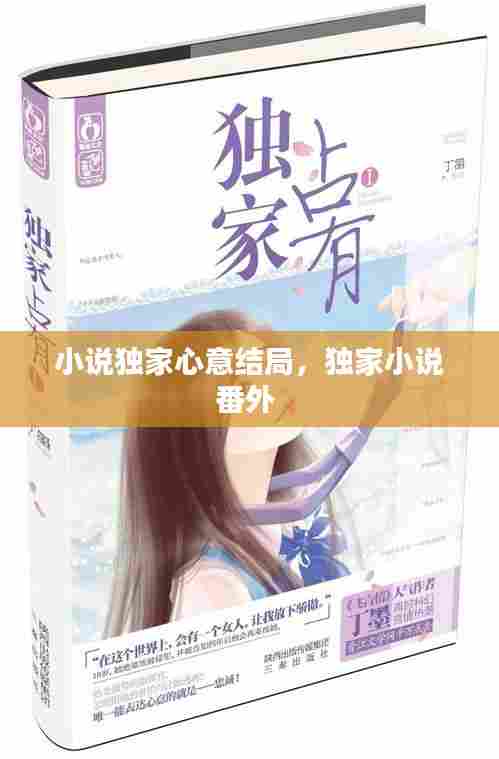 小说独家心意结局,独家小说番外