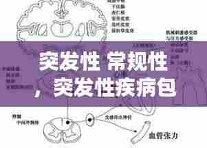 突发性 常规性，突发性疾病包括哪些 