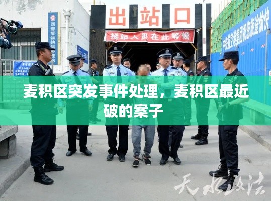 麦积区突发事件处理，麦积区最近破的案子 