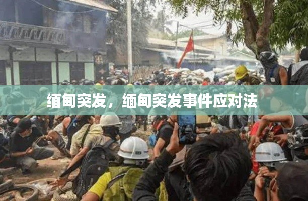 缅甸突发，缅甸突发事件应对法 