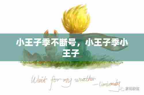 小王子季不断号,小王子季小王子