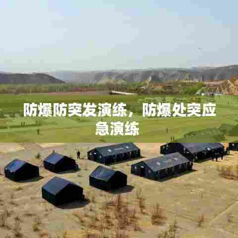 防爆防突发演练，防爆处突应急演练 