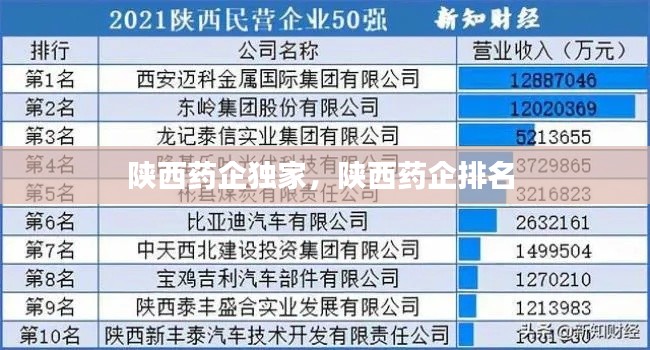 陕西药企独家,陕西药企排名
